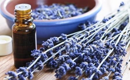 Aceite esencial de Lavanda (Lavanda officinalis): perfume fresco, floreal. Acciones: anti depresiva, anti inflamatoria, cicatrizante, sedante. Energias favorables, elimina contrastes. 